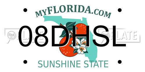 08DHSL Florida License Plate