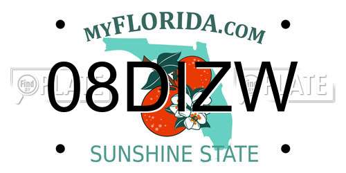 08DIZW Florida License Plate