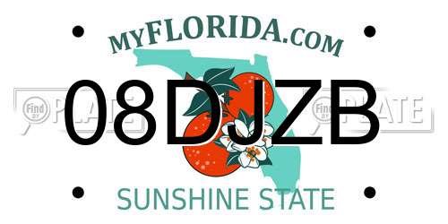08DJZB Florida License Plate