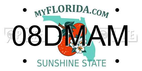 08DMAM Florida License Plate