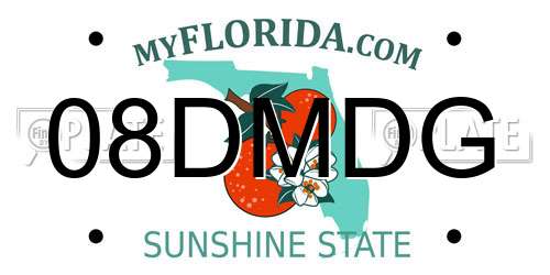 08DMDG Florida License Plate