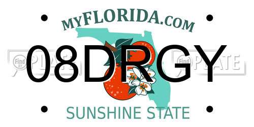 08DRGY Florida License Plate