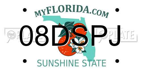08DSPJ Florida License Plate