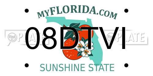 08DTVI Florida License Plate