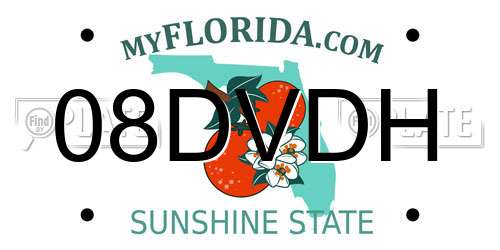 08DVDH Florida License Plate