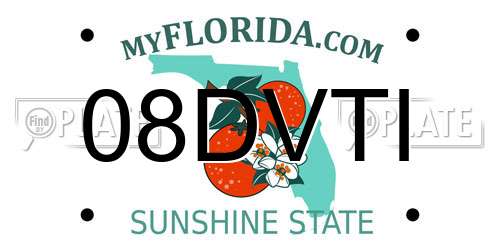 08DVTI Florida License Plate