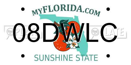08DWLC Florida License Plate