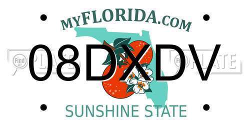 08DXDV Florida License Plate