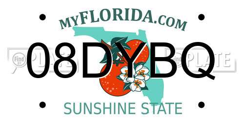 08DYBQ Florida License Plate