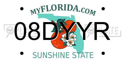 08DYYR Florida License Plate