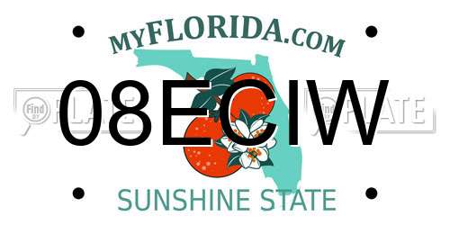 08ECIW Florida License Plate