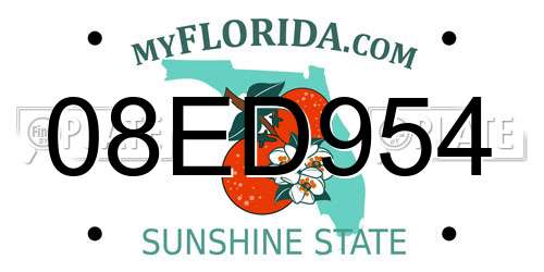 08ED954 Florida License Plate