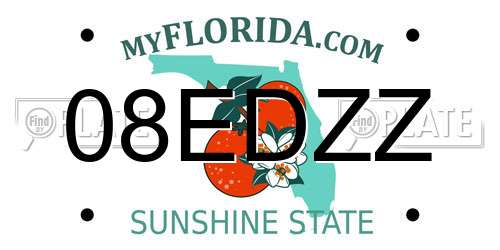 08EDZZ Florida License Plate