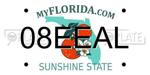 08EEAL Florida License Plate
