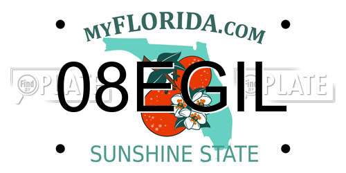 08EGIL Florida License Plate