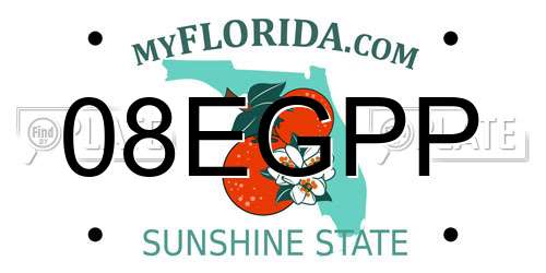 08EGPP Florida License Plate