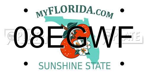 08EGWF Florida License Plate