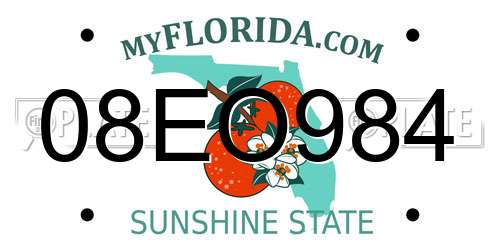 08EO984 Florida License Plate