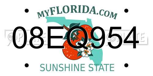 08EQ954 Florida License Plate