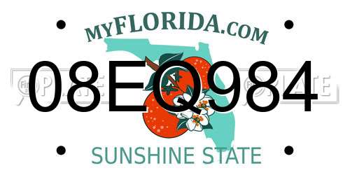 08EQ984 Florida License Plate