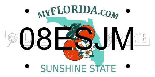 08ESJM Florida License Plate