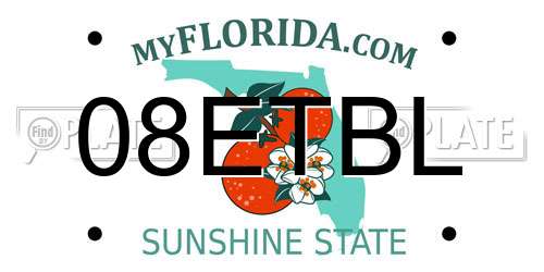 08ETBL Florida License Plate