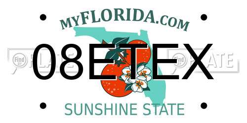 08ETEX Florida License Plate