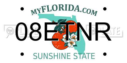 08ETNR Florida License Plate