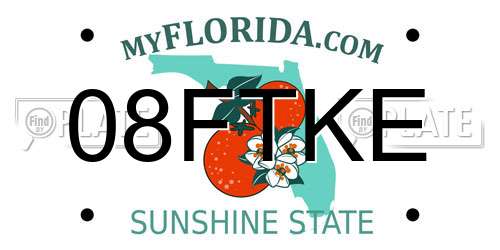 08FTKE Florida License Plate