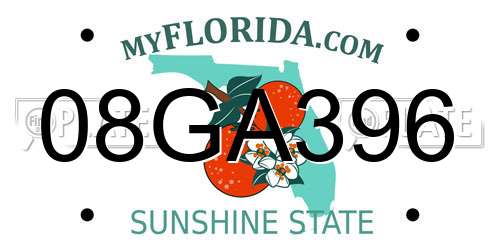 08GA396 Florida License Plate