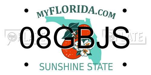 08GBJS Florida License Plate