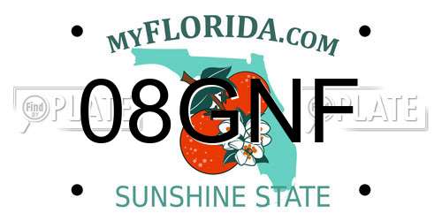 08GNF Florida License Plate