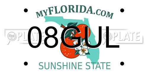 08GUL Florida License Plate