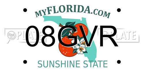 08GVR Florida License Plate