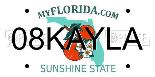 08KAYLA Florida License Plate