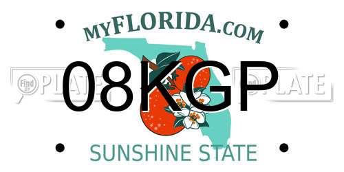 08KGP Florida License Plate