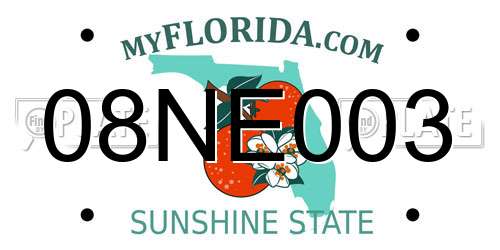 08NE003 Florida License Plate