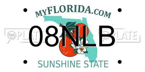 08NLB Florida License Plate