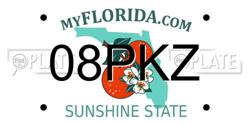 08PKZ Florida License Plate