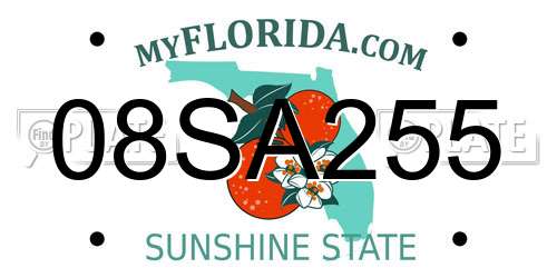 08SA255 Florida License Plate