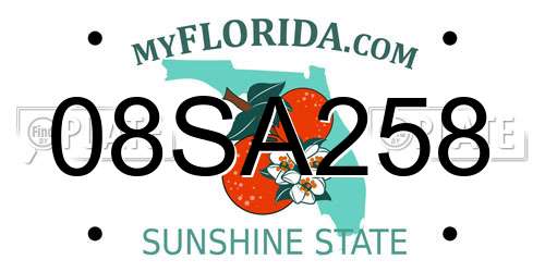 08SA258 Florida License Plate