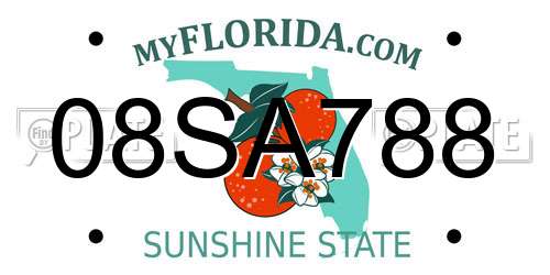 08SA788 Florida License Plate