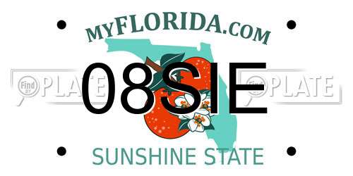08SIE Florida License Plate