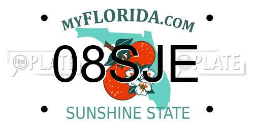 08SJE Florida License Plate