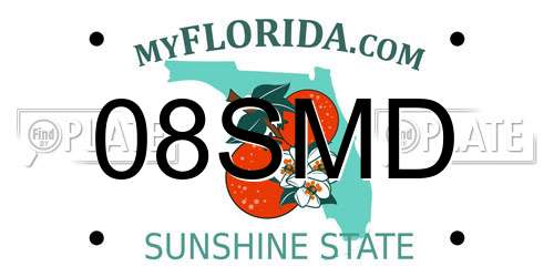 08SMD Florida License Plate
