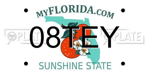 08TEY Florida License Plate