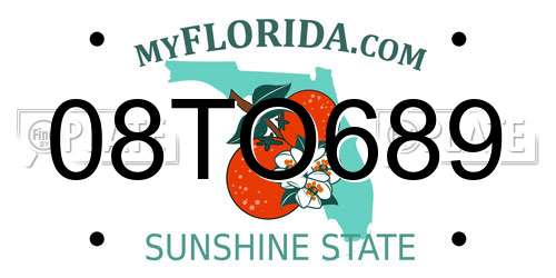 08TO689 Florida License Plate