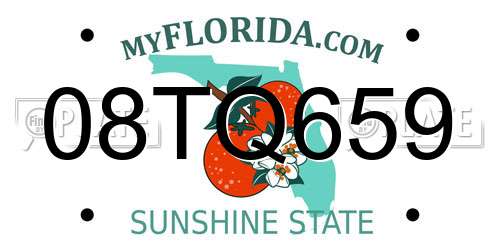 08TQ659 Florida License Plate