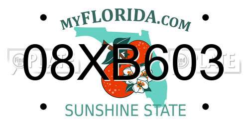 08XB603 Florida License Plate