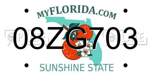 08ZG703 Florida License Plate